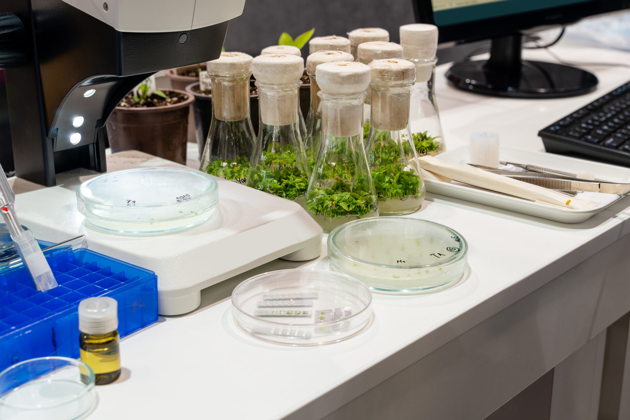 Life-Saving Drugs & Planet-Killing Waste: Why Pharma Must Go Green Now